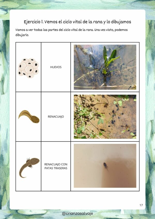 Membresía Pequeñas Raíces (Cuadernillos semanales para una educación consciente) - Imagen 7